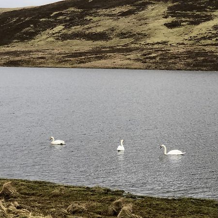 Scalloway Caravan Park Экстерьер фото